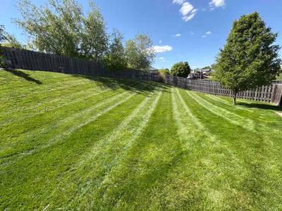 Lawn care service in Omaha, 68116