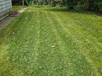 Lawn care service in Milwaukee, 53225