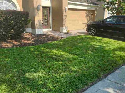 Lawn care service in Orlando, 32828