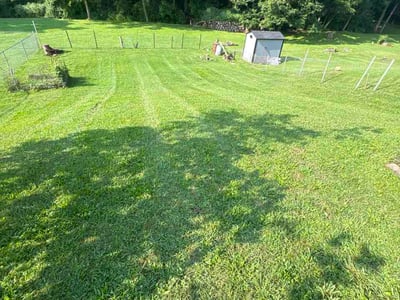 Lawn care service in Uniontown, 15401