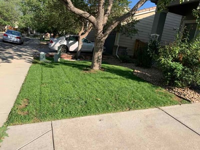 Lawn care service in Aurora, 80011