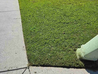 Lawn care service in Sugar Hill, 30518