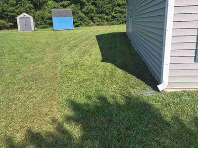 Lawn care service in Wilson, 27896