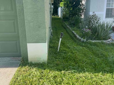 Lawn care service in Tampa, 33615