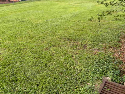Lawn care service in Abbeville, 70510