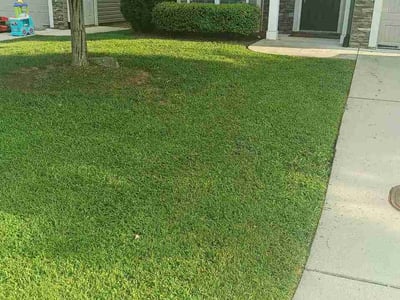 Lawn care service in Clemmons, 27012