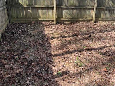Lawn care service in Knoxville, 37918