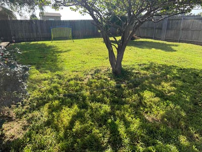 Lawn care service in Tulsa, 74132