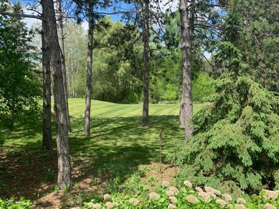 Lawn care service in Lino Lakes, 55014
