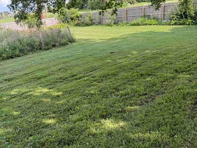 Lawn care service in Franklin, 53132