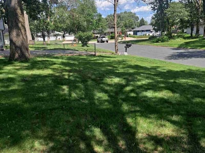 Lawn care service in Blaine, 55434