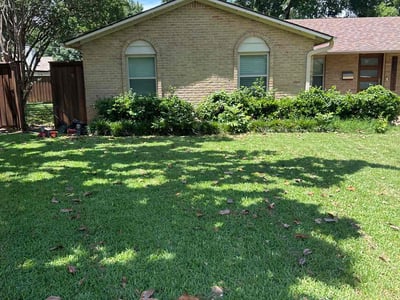 Lawn care service in Dallas, 75244