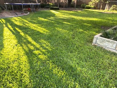 Lawn care service in Austin, 78749