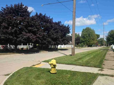 Lawn care service in Wyandotte, 48192
