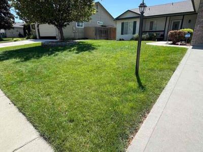 Lawn care service in Caldwell, 83605