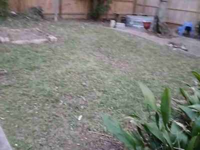 Lawn care service in Houston, 77009