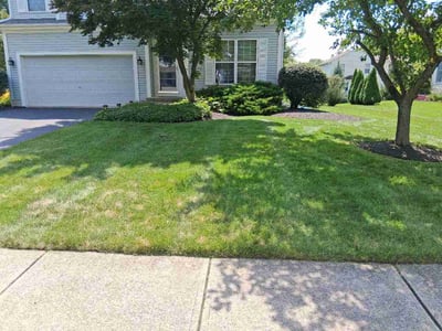 Lawn care service in Lewis Center, 43035