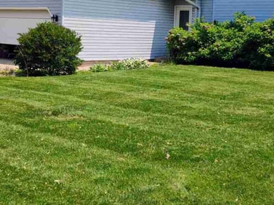 Lawn care service in Ankeny, 50021