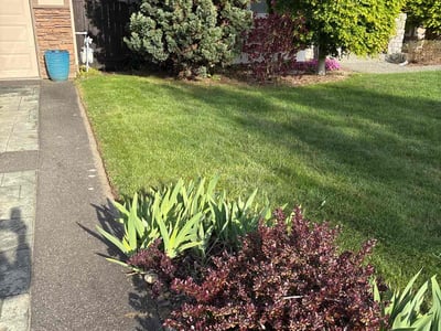 Lawn care service in Bonney Lake, 98391