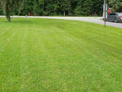 Lawn care service in Kingsland, 31548