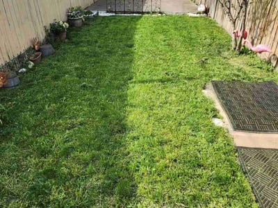 Lawn care service in Chicago, 60651