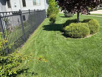 Lawn care service in Council Bluffs, 51501