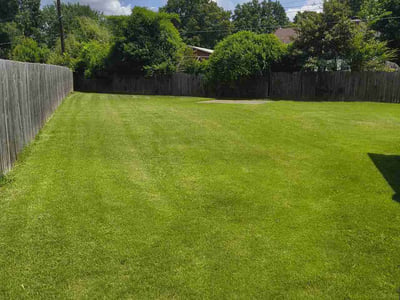 Lawn care service in Memphis, 38115
