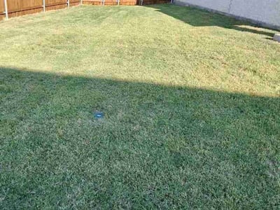 Lawn care service in Lewisville, 75056