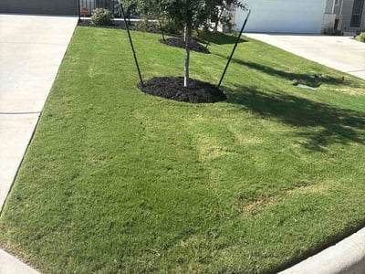 Lawn care service in Jarrell, 76537