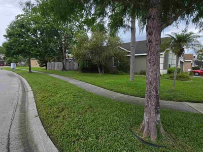 Lawn care service in Orlando, 32828