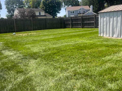 Lawn care service in Reynoldsburg, 43068