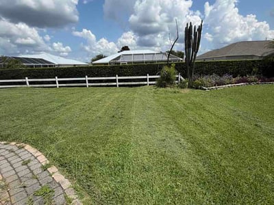 Lawn care service in Avon Park, 33825