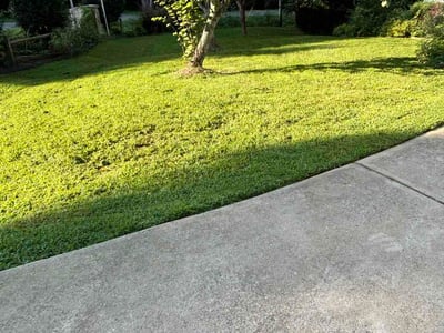 Lawn care service in Graham, 27253