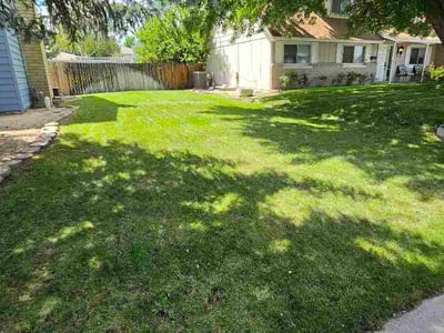 Lawn care service in Reno, 89511