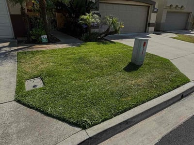 Lawn care service in Laguna Niguel, 92677