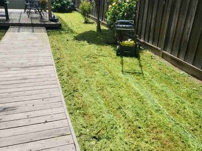 Lawn care service in Sacramento, 95835