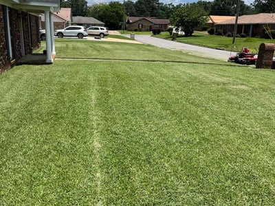 Lawn care service in Tuscaloosa, 35405