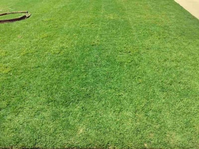 Lawn care service in Broken Arrow, 74014