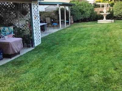 Lawn care service in Quartz Hill, 93536