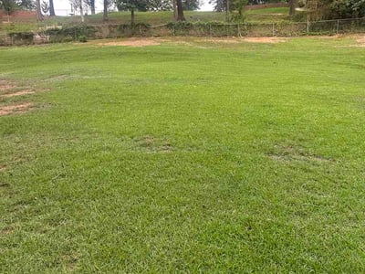 Lawn care service in Hoover, 35244
