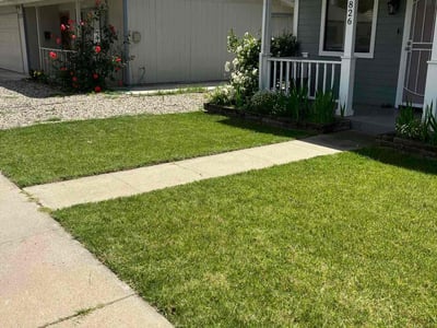 Lawn care service in Yuba City, 95991