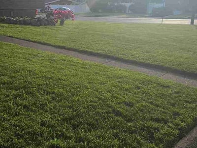 Lawn care service in Emmaus, 18049
