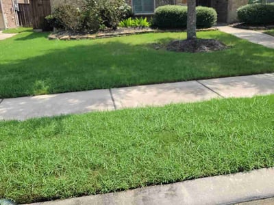 Lawn care service in Richmond, 77406