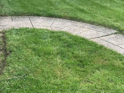 Lawn care service in Parma, 44129