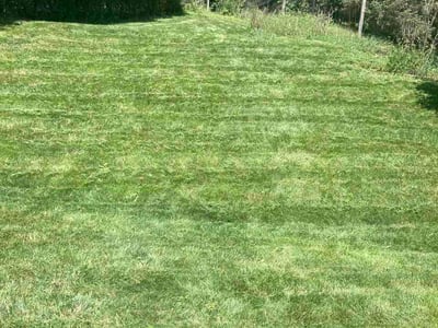 Lawn care service in Monroeville, 15146