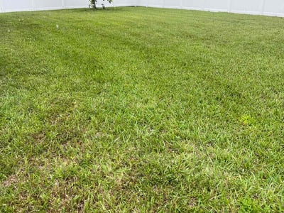 Lawn care service in Green Cove Springs, 32043