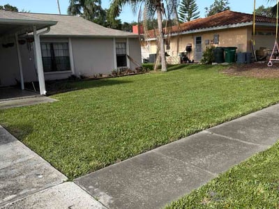 Lawn care service in Safety Harbor, 34695