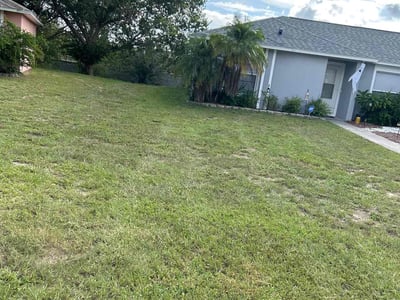 Lawn care service in Clermont, 34711