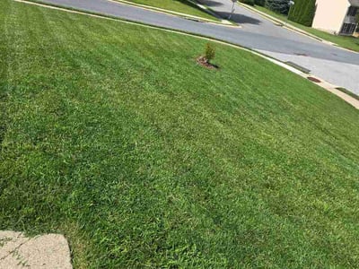Lawn care service in Red Lion, 17356