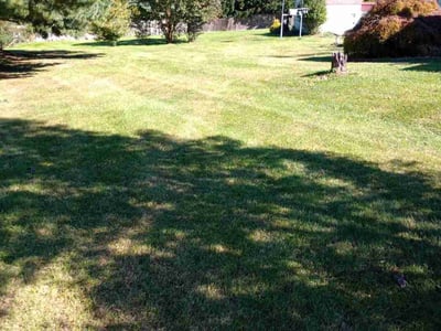 Lawn care service in Perry Hall, 21128